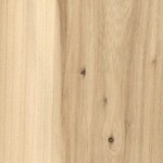 elm elm