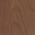 walnut walnut